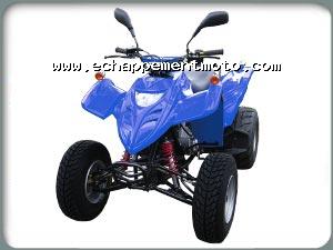 ADLY 300