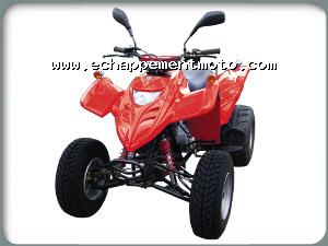 ADLY 300