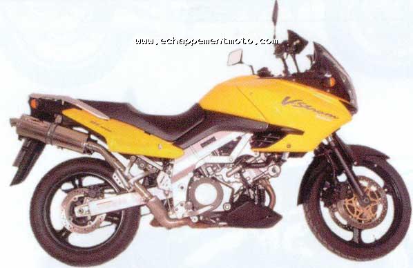DL 1000 V-STROM Scorpion