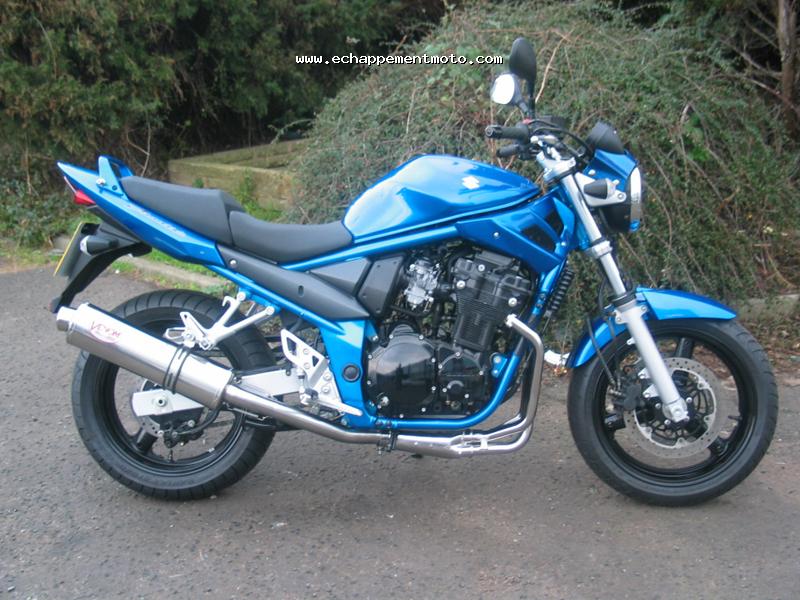 GSF 650 Bandit Venom