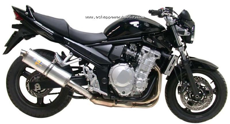 GSF 650 Bandit Leovince