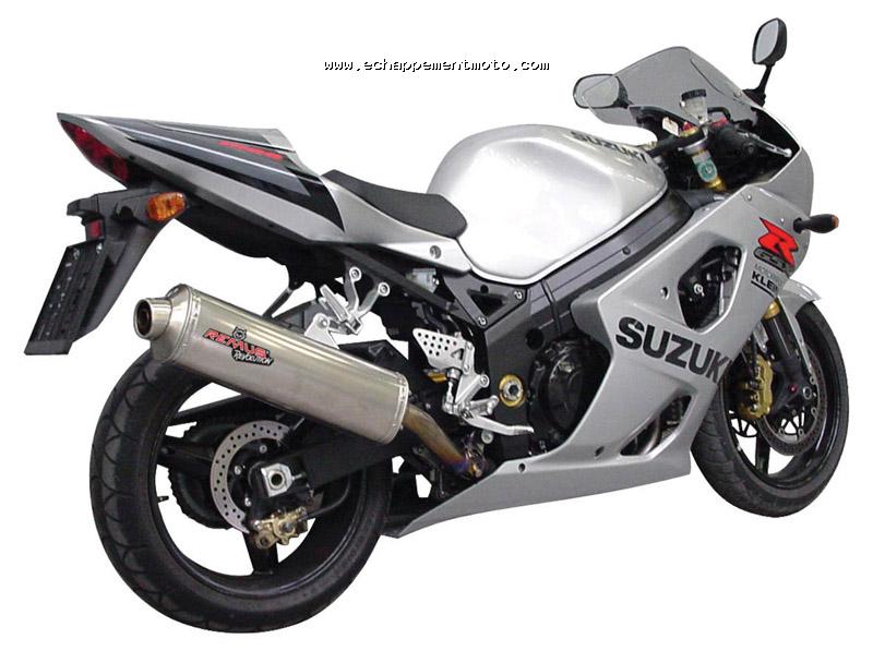SUZUKI GSX-R 1000 2001